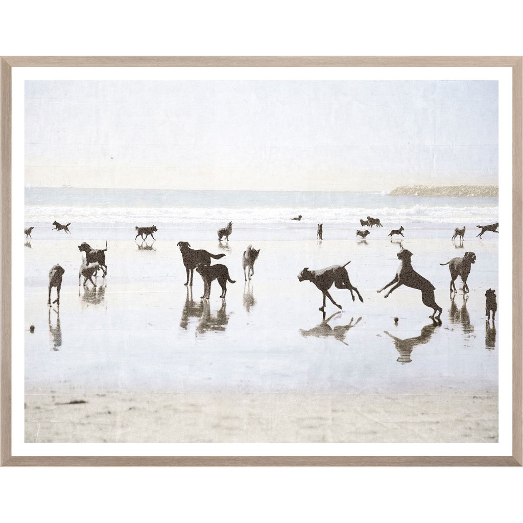 DOGS DAY AT THE BEACH - Light House Co.