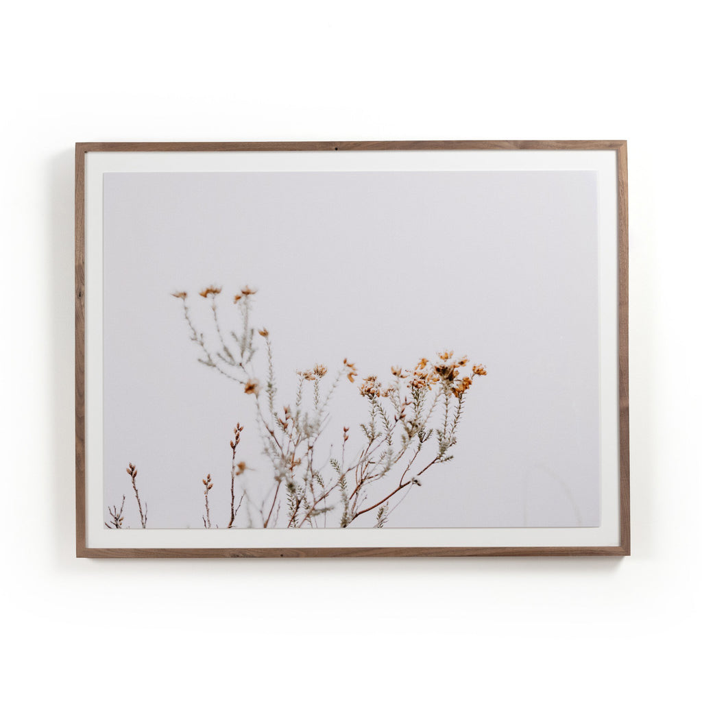 In The Details I by Annie Spratt - Light House Co.