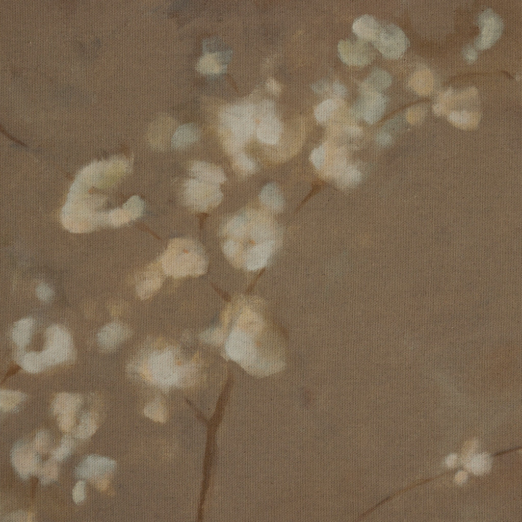 Sakura by Jess Engle - Light House Co.