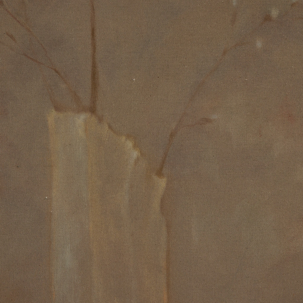 Sakura by Jess Engle - Light House Co.