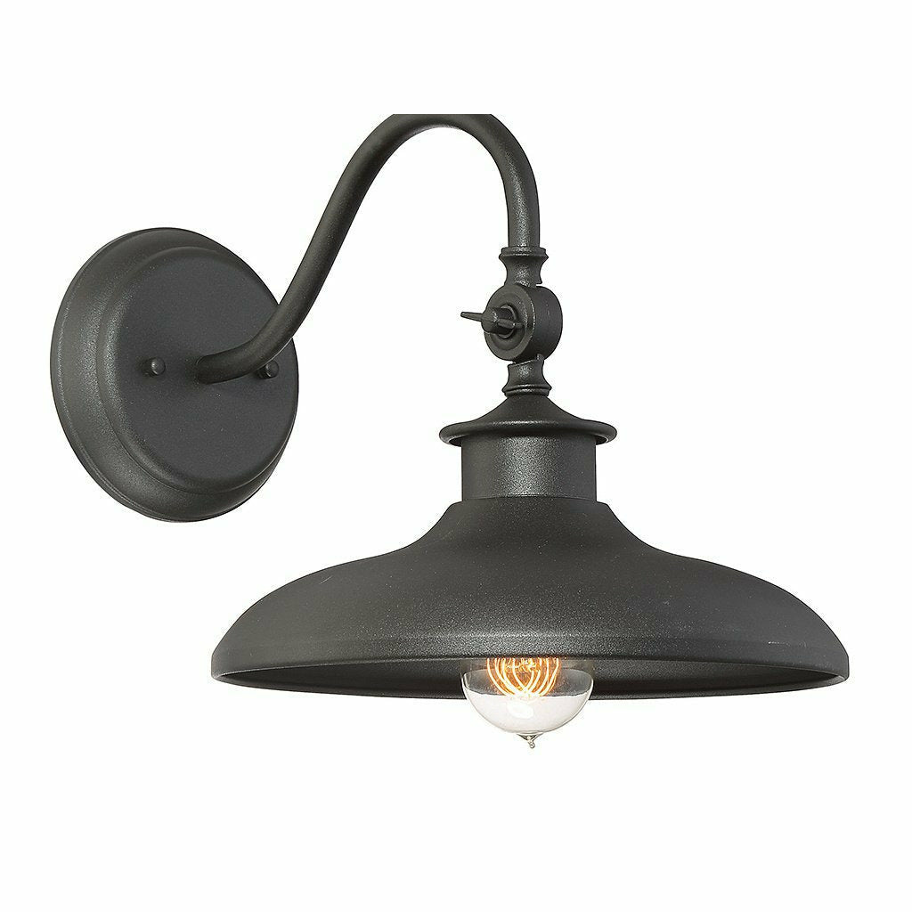 Raliegh 1-Light Outdoor Wall Lantern - Light House Co.