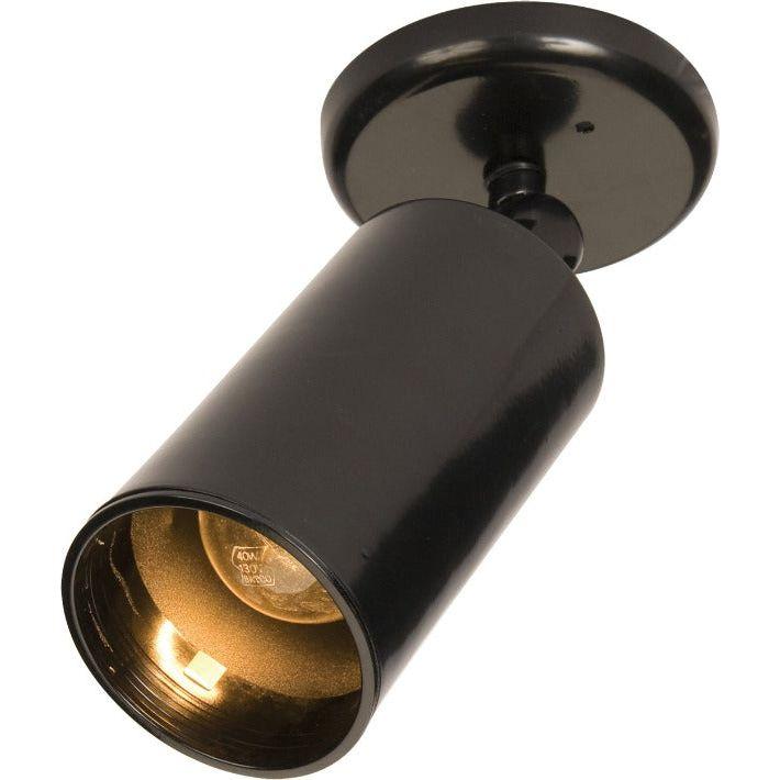 Spots 1-Light Can Wall/Flush Mount - Light House Co.