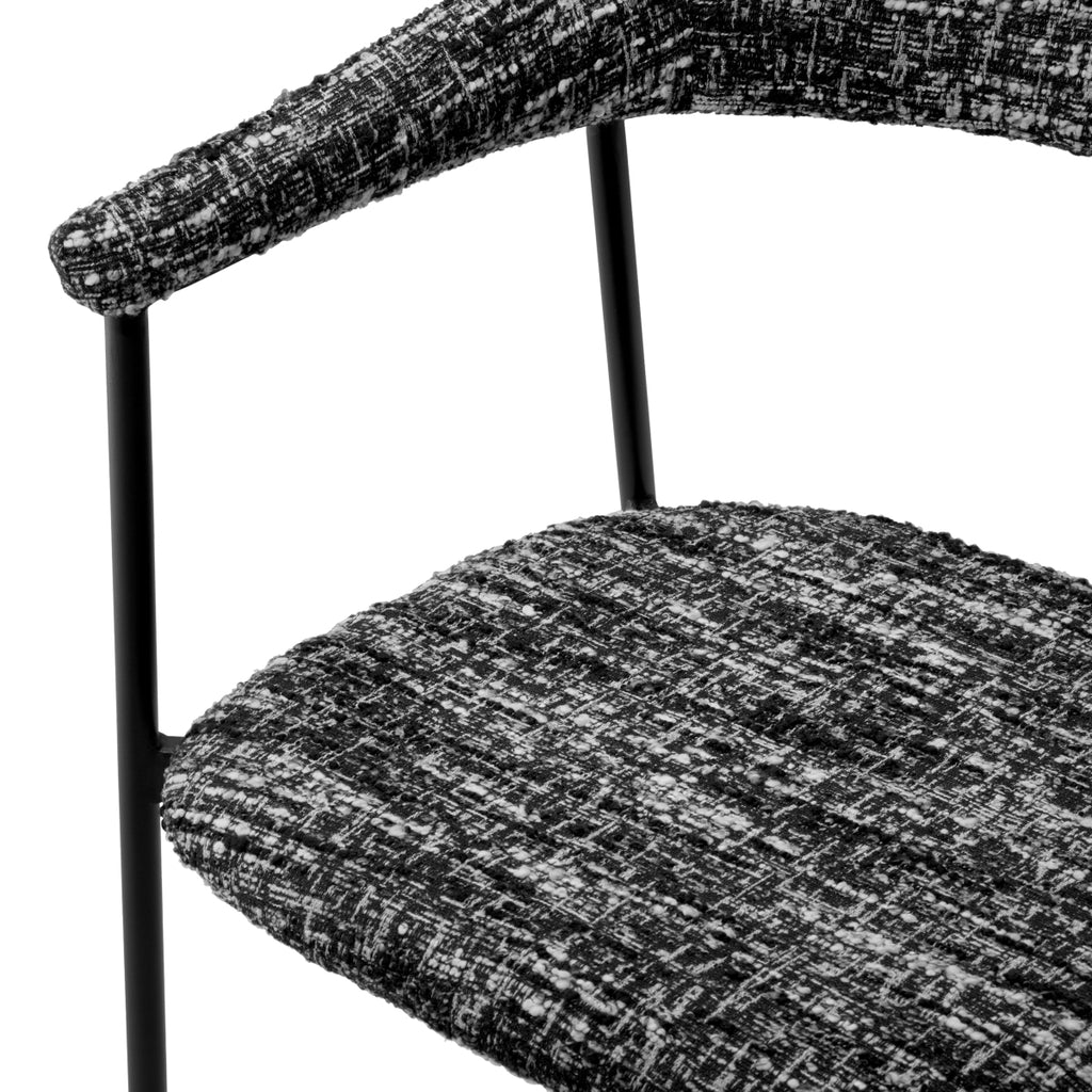 Julio Dining Chair, Set of 2 - Light House Co.