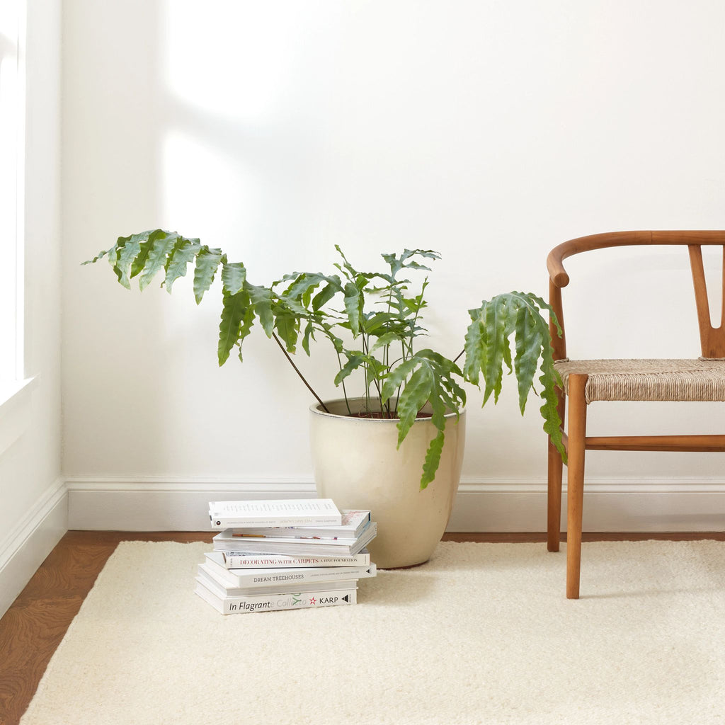 Holmstead Ivory Handwoven Wool Rug - Light House Co.