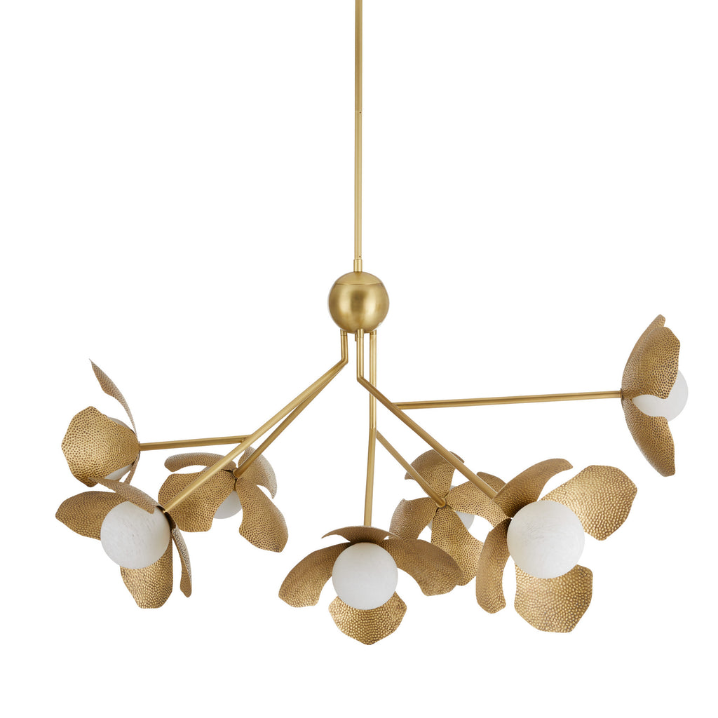 Generosa Chandlier - Light House Co.