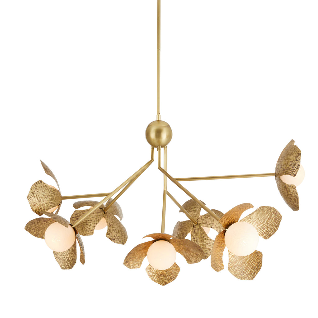 Generosa Chandlier - Light House Co.