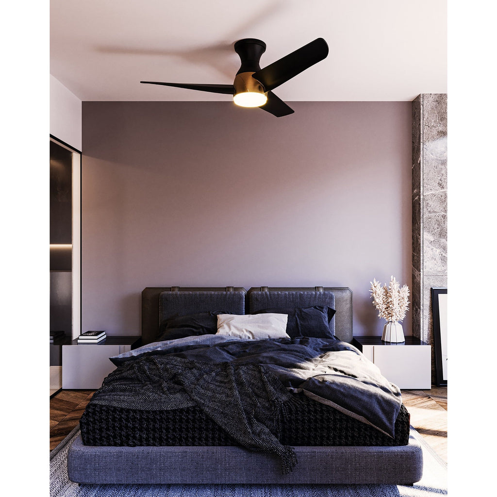 Low Profile - Thalia Fan - Light House Co.