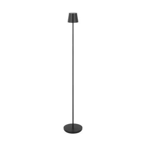 Nightshade Black