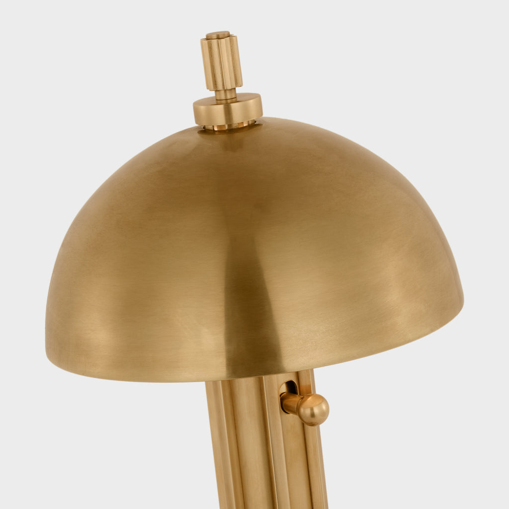 Dally 13" Desk Lamp - Light House Co.