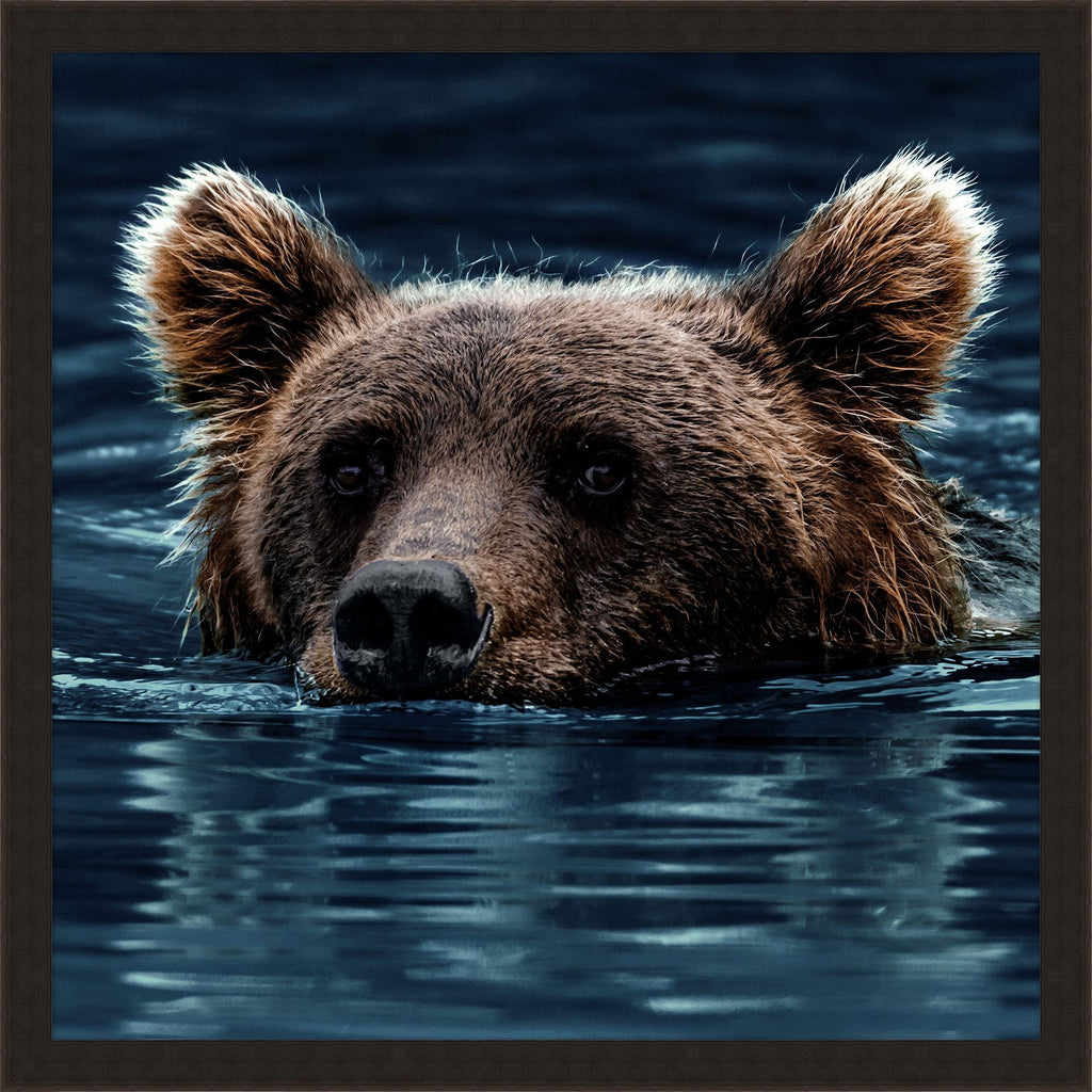 Bear in Water - Light House Co.
