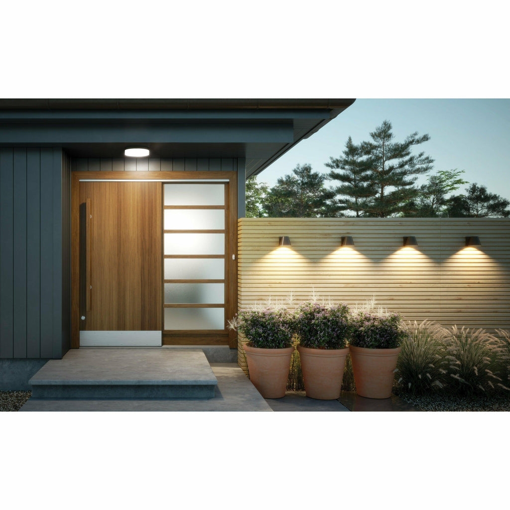 Cirque Large Outdoor Wall/Flush Mount - Light House Co.