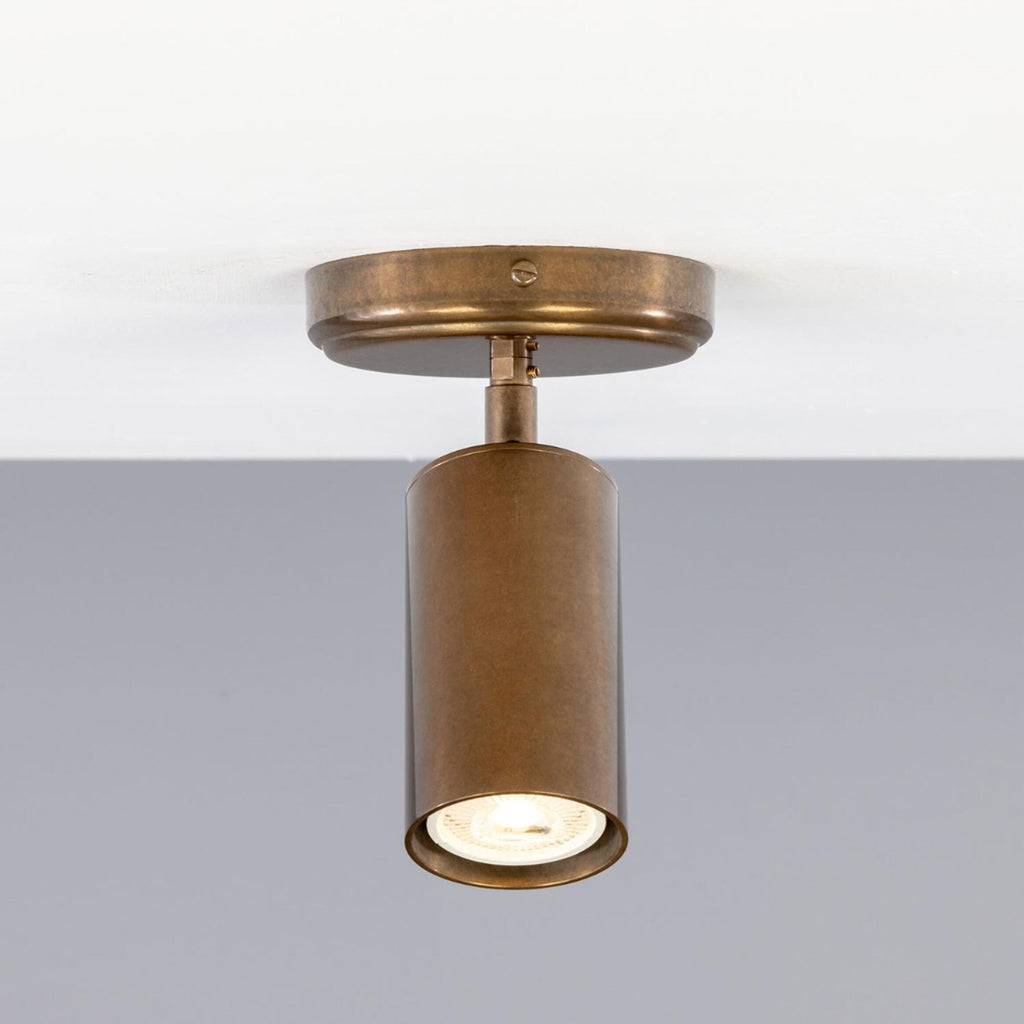Evanston Directional Brass Ceiling Spot Light - Light House Co.