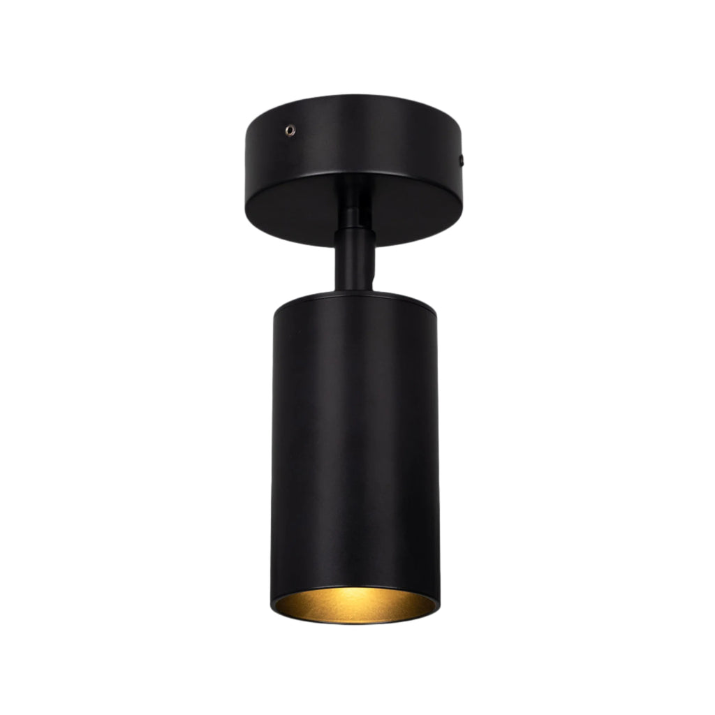 Evanston Directional Brass Ceiling Spot Light - Light House Co.