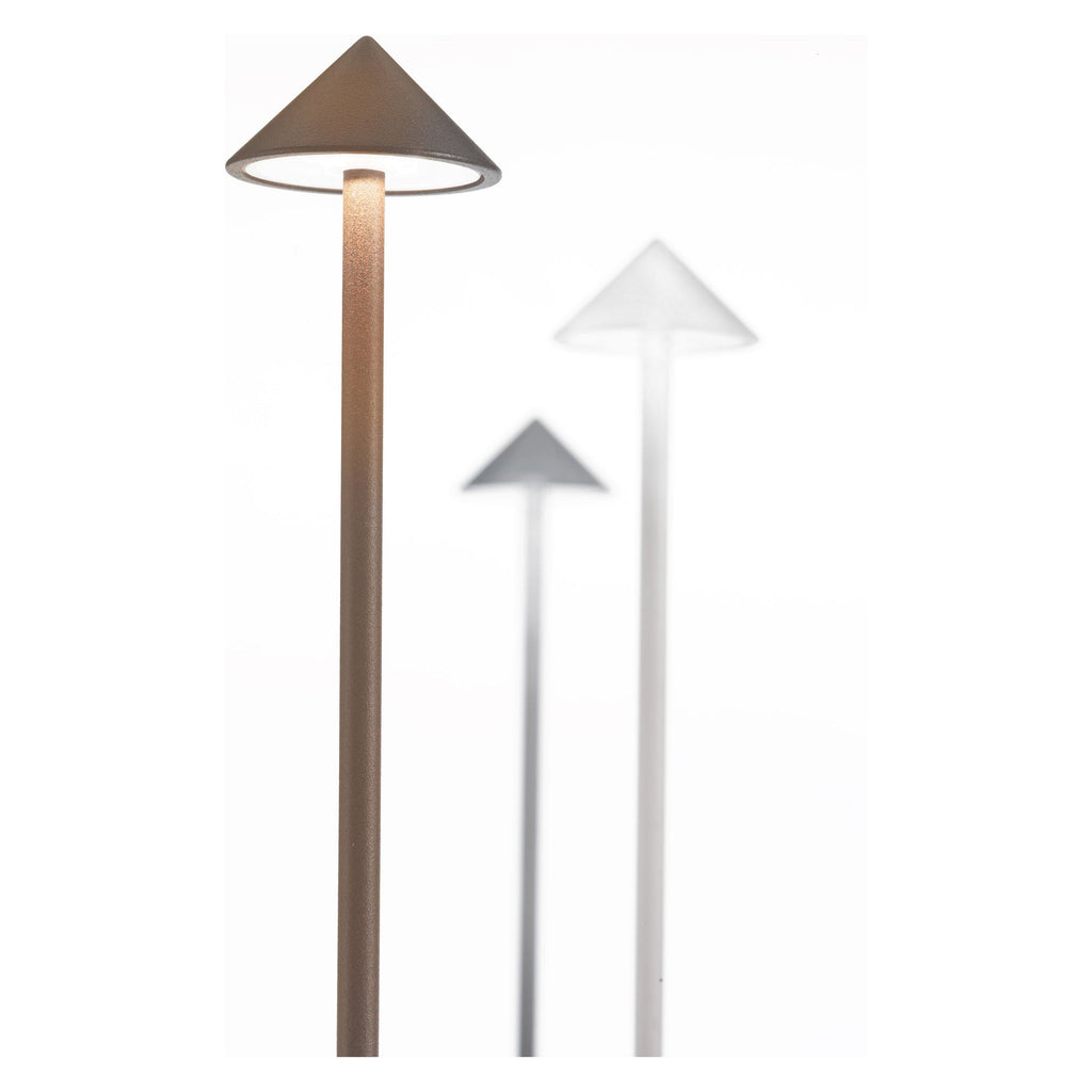 Pina Pro - Light House Co.