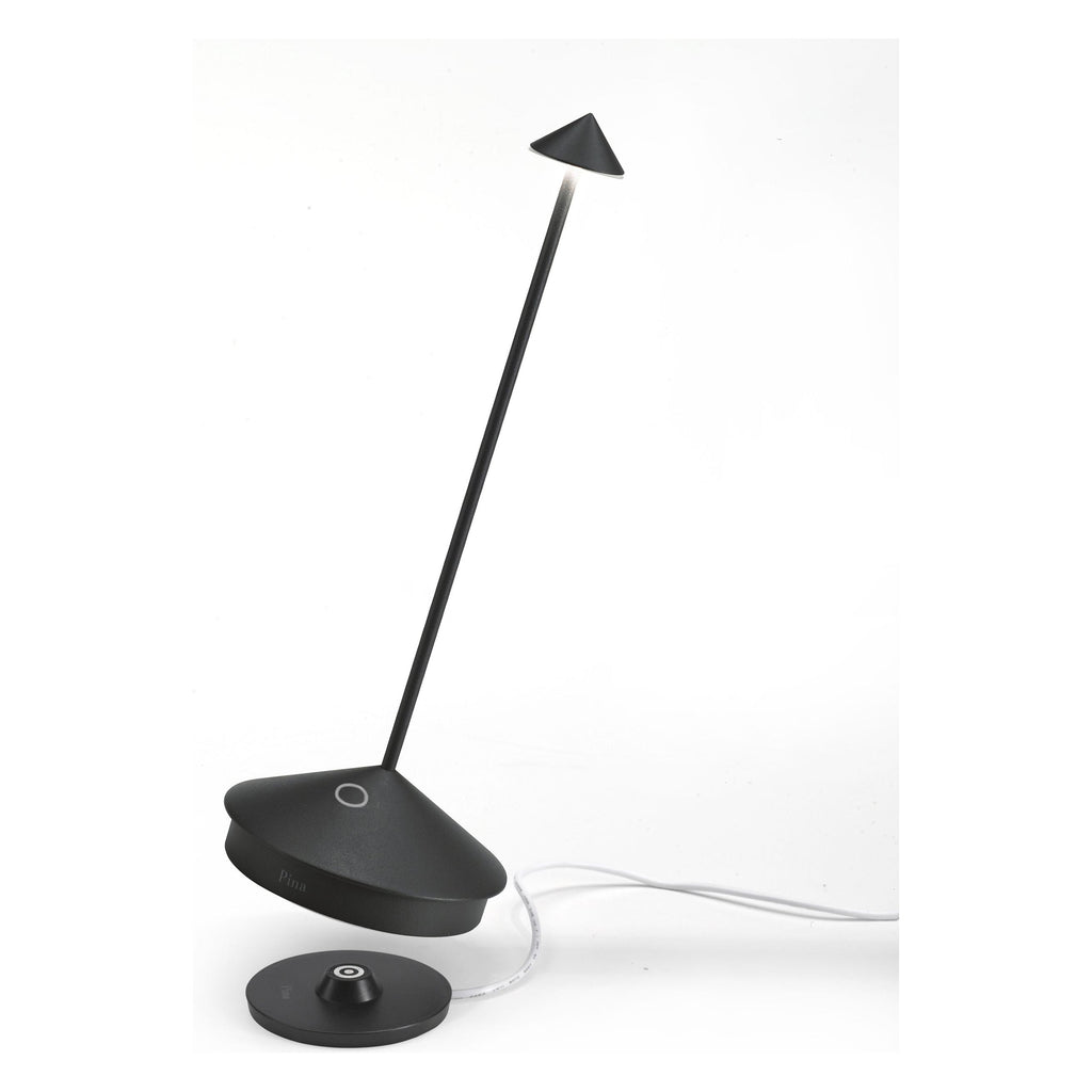 Pina Pro - Light House Co.