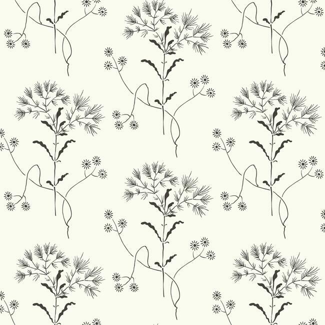 Wildflower Premium Peel + Stick Wallpaper | Peel and Stick Wallpaper | York Wallcoverings - Light House Co.