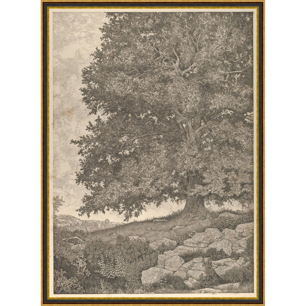 Ancestral Tree - Light House Co.