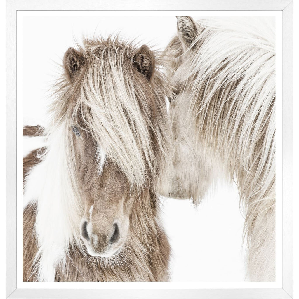 Whispering Ponies - Light House Co.