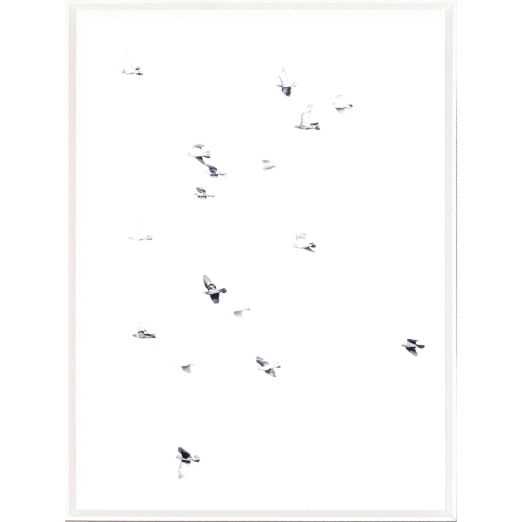 Taking Flight - Light House Co.