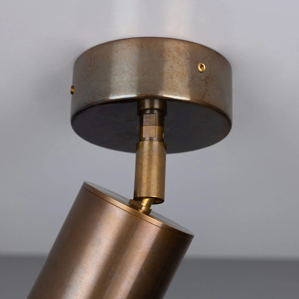 Evanston Directional Brass Ceiling Spot Light - Light House Co.